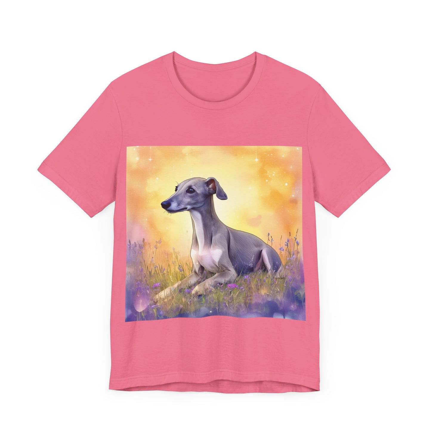 Sunset Greyhound Jersey Short Sleeve Tee